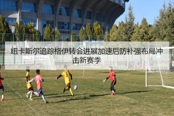 纽卡斯尔追踪格伊转会进展加速后防补强布局冲击新赛季